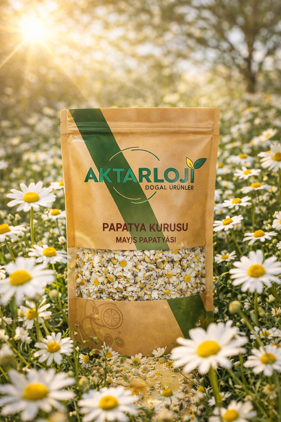 Aktarloji 250 Gr Chamomile Tea / Dried Chamomile Flowers - Additive-Free & Natural