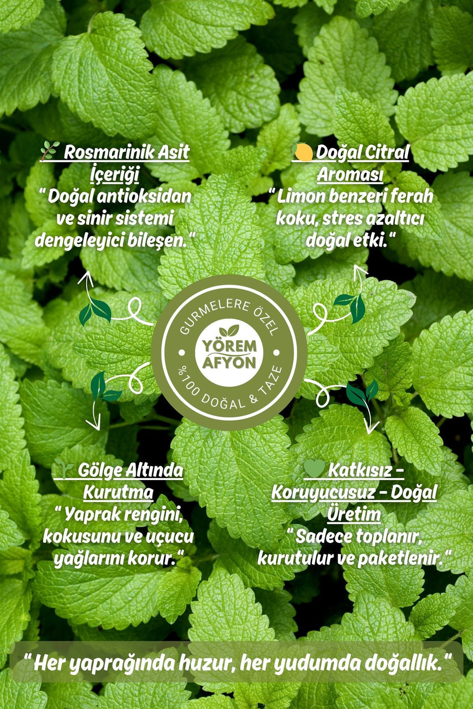 Gulcehre Yorem Afyon Famous Mugla New Harvest Sun-Dried Lemon Balm Leaves | 30gr. - MALLTURK