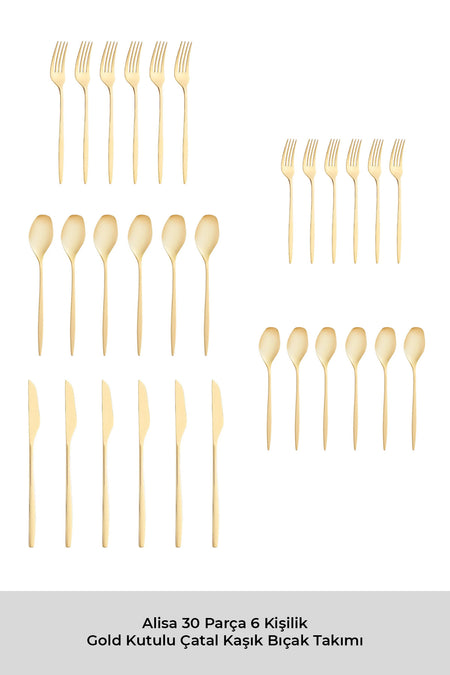 Emsan alisa 30 Piece 6 Place Setting parlak gold Boxed Flatware Set - MALLTURK