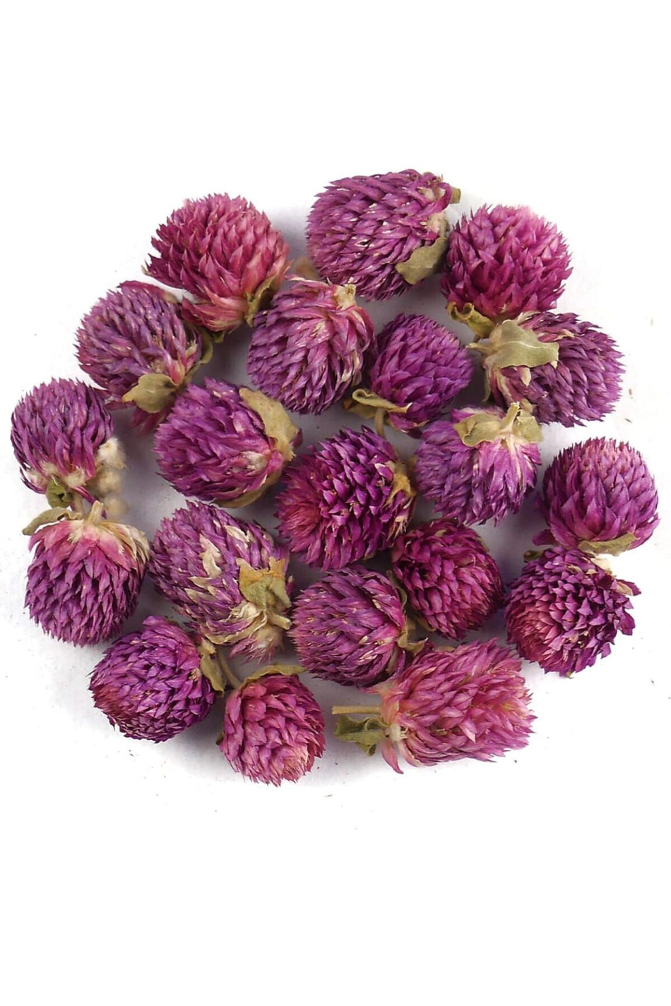 Ilmi Sifa Koniczyna czerwona (Trifolium pratense), naturalna suszona herbata z koniczyny czerwonej 50 g