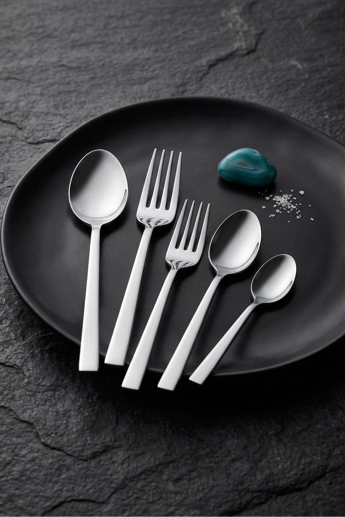 Tac felina viento 60 Piece 12 Place Setting Fork Spoon Set 18 10 Stainless Steel 304 kalite - MALLTURK