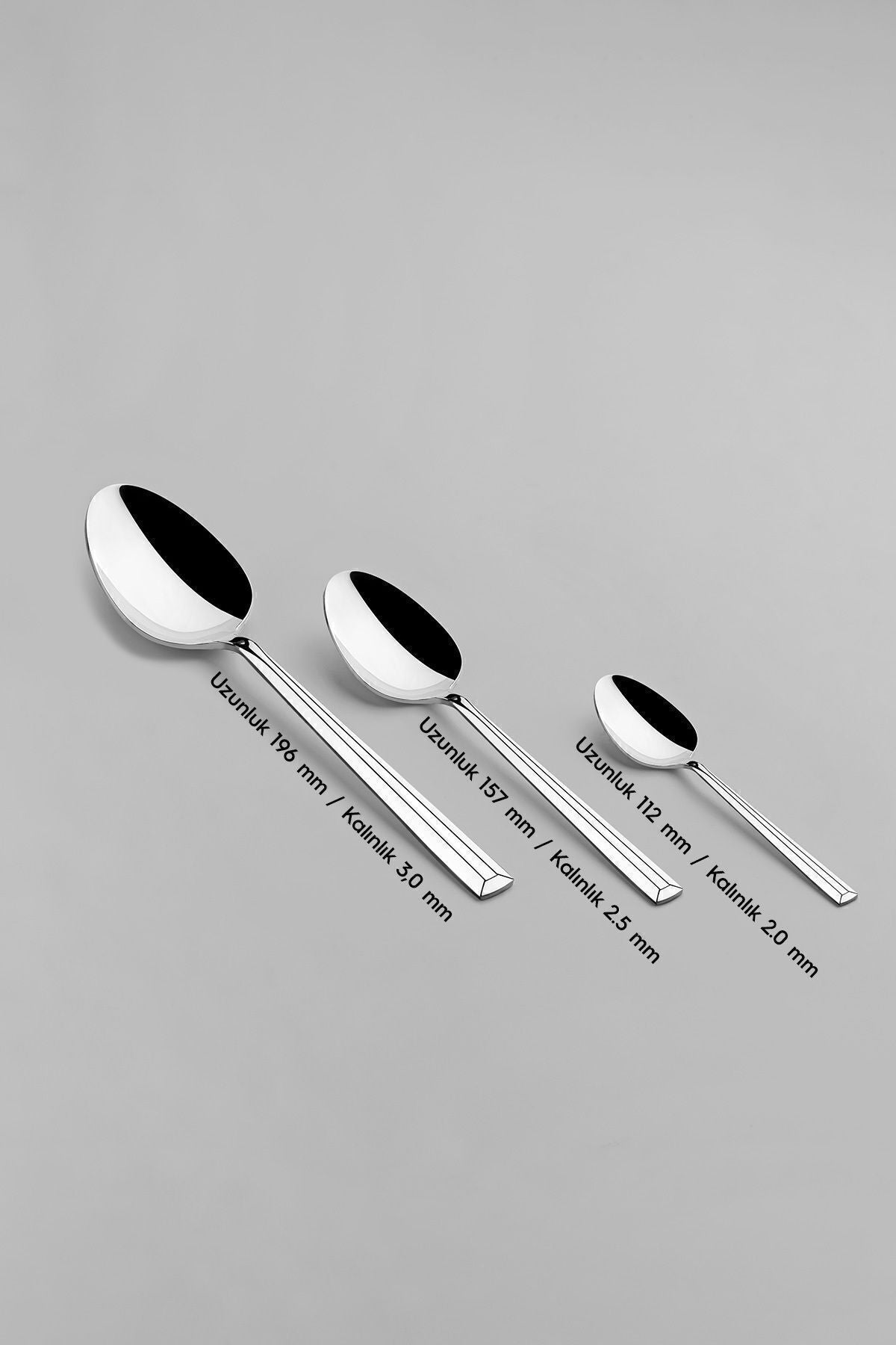 Nehir milano Plain 12 Place Setting 60 Piece Boxed Fork Spoon Set - MALLTURK
