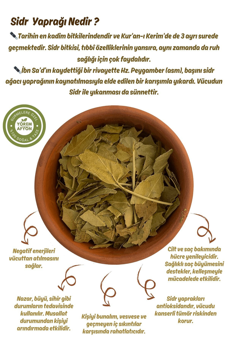 Gulcehre The Natural Key to Peace and Purification: Ground Genuine Sidr Leaf Powder {Cedar - Sidir} | 60g - MALLTURK