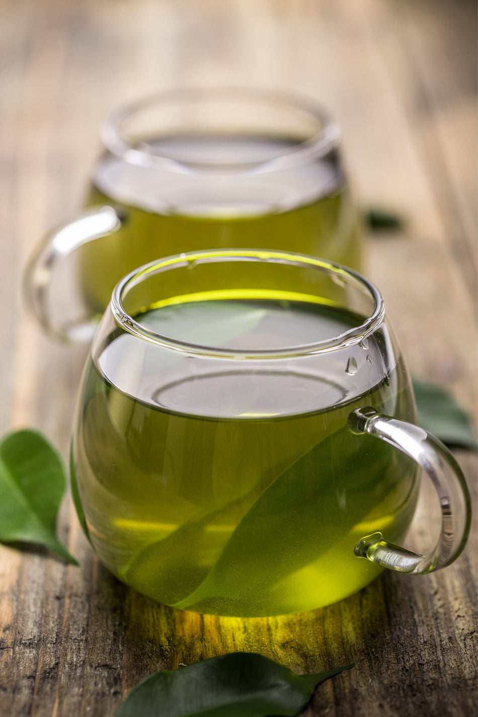 Gulcehre Rize Local Harvest Lush Green Diet-Friendly Smooth Bud Green Tea {Camellia Sinensis} | 85gr. - MALLTURK