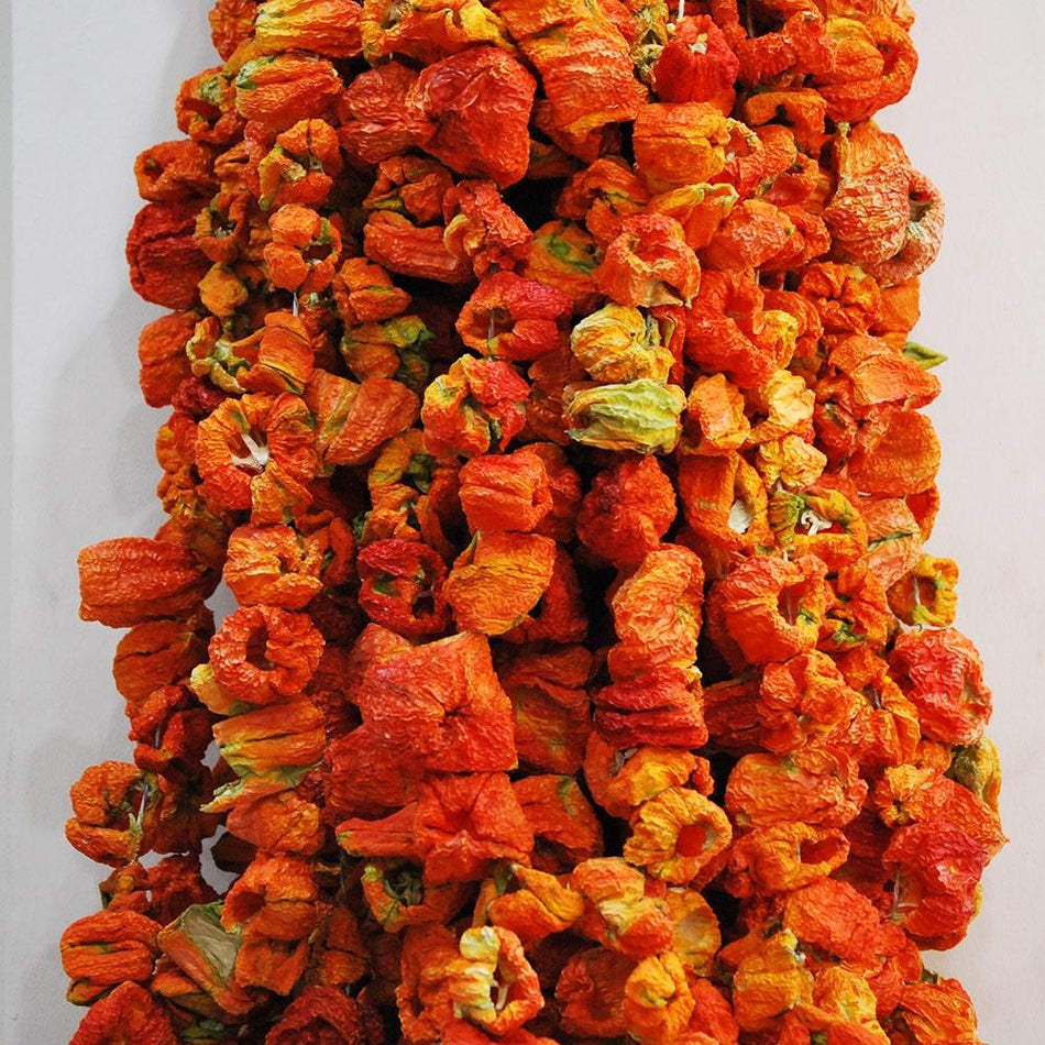 Turkish Dried Red Peppers, 50 pieces