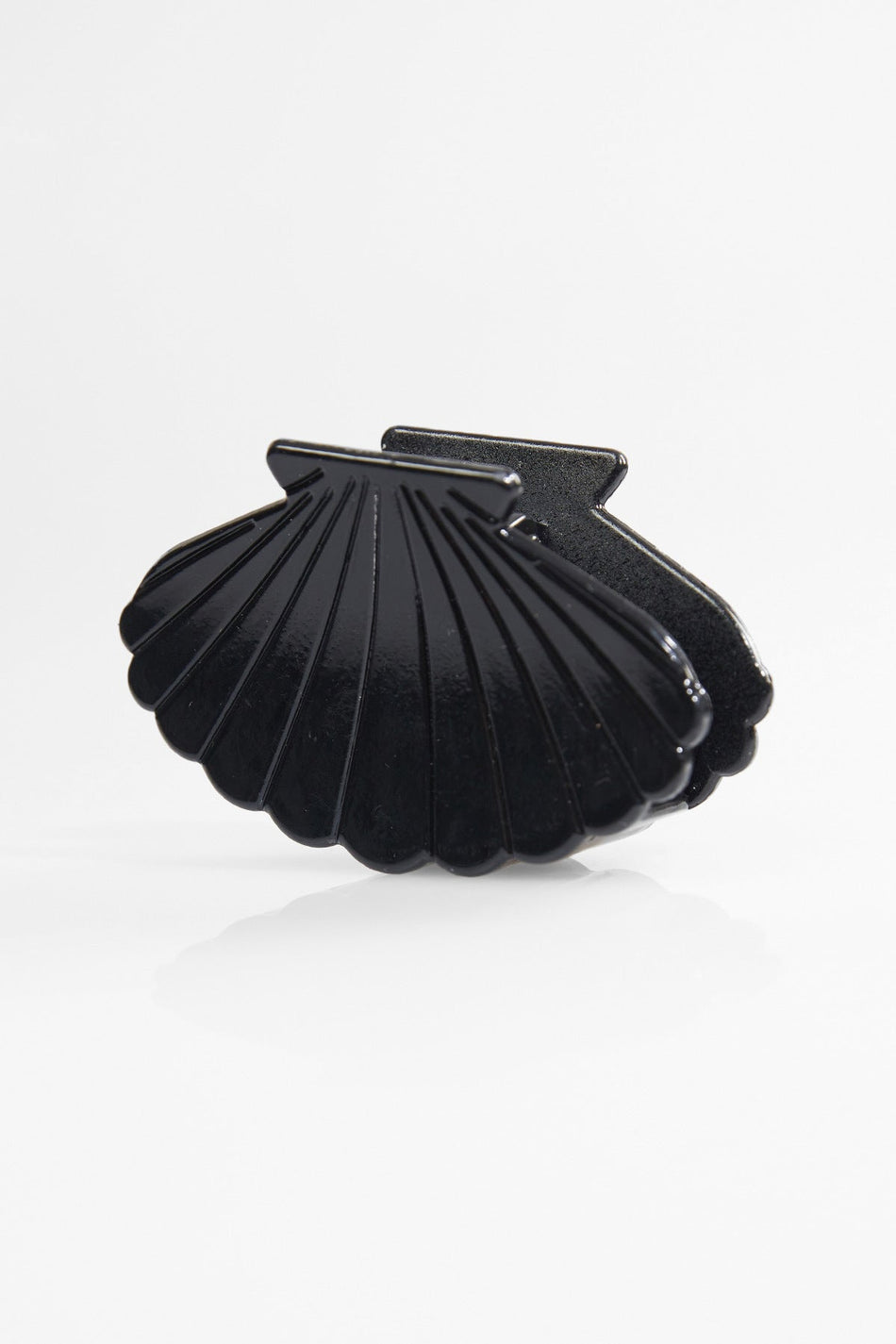 Seashell Latch Clasp - MALLTURK