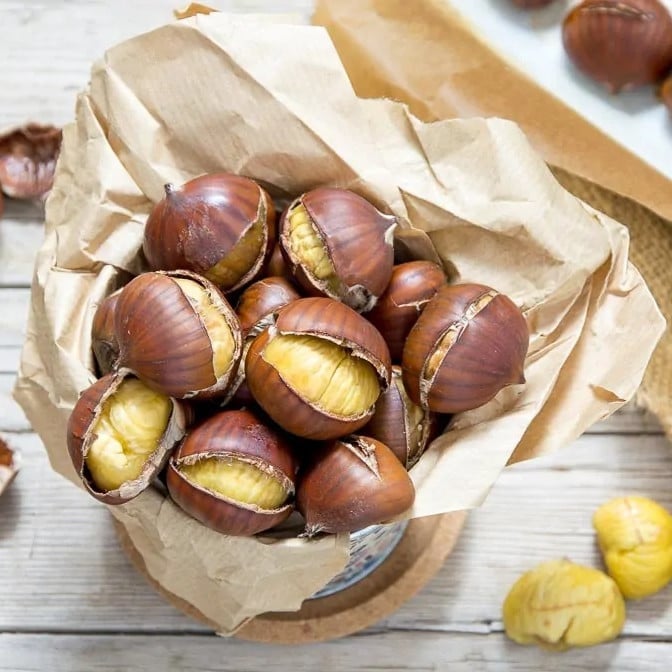 Turkish Chestnut, Premium Size
