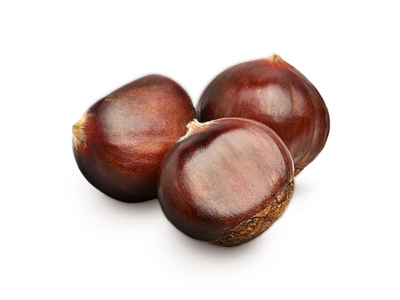 Turkse kastanje, premiumformaat