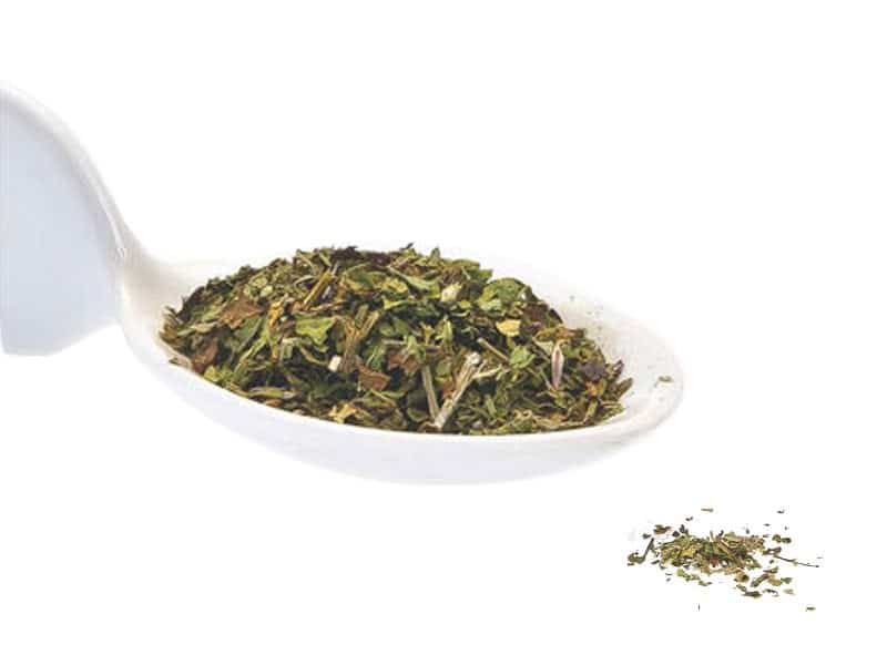 Turkish Mint, Natural