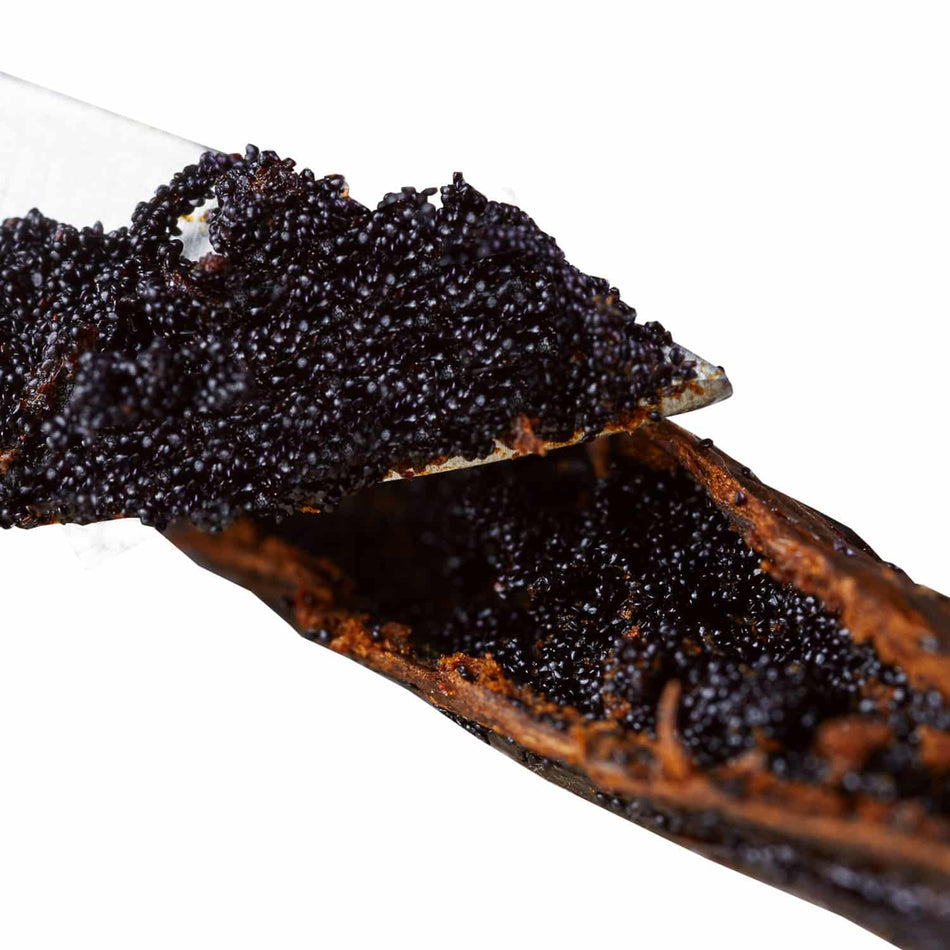 Vanilla Bean of Madagascar, Gourmet Grade A, Natural 1 pod