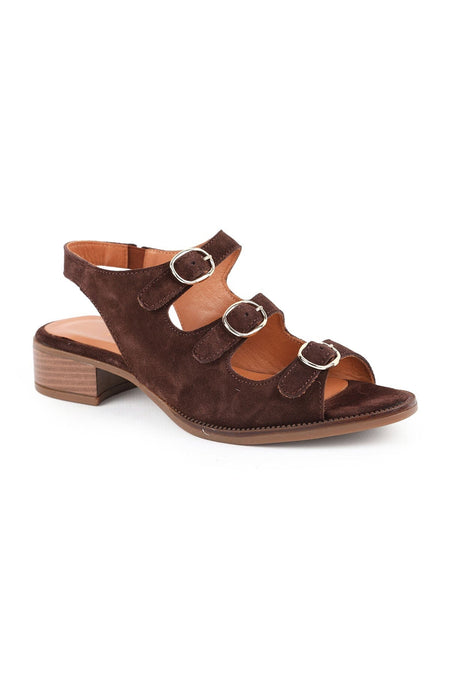 Women's Sandals Daily Suede Short Heeled Multi-Strap Buckle Sling-Back L031.26108623 - MALLTURK